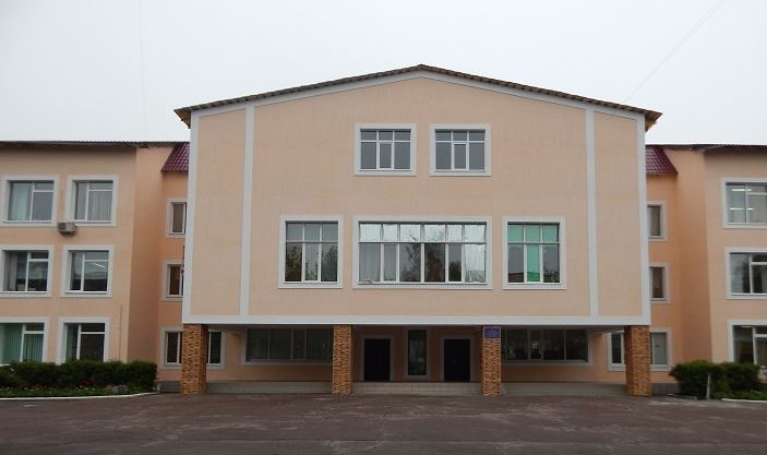 За реконструкцию школы в Софиевской Борщаговке местный сельсовет доплатит 60 млн гривен