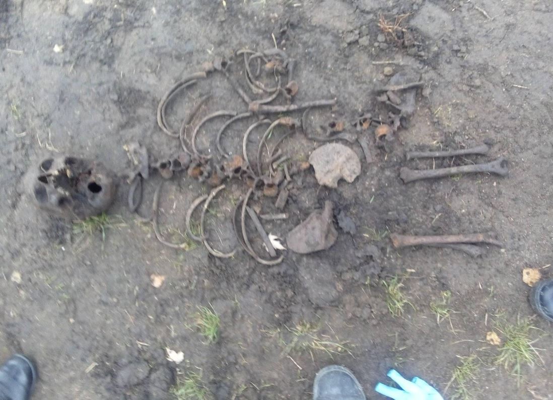 На территории школы в Борисполе нашли два человеческих скелета (фото)