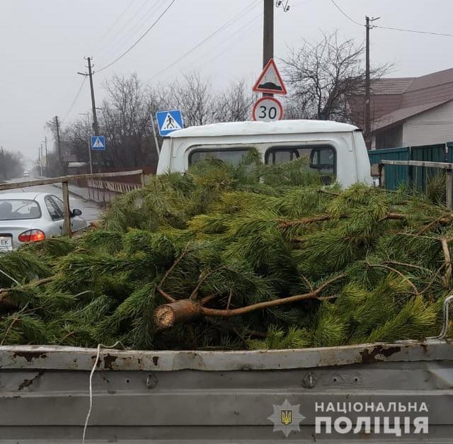 На Киевщине полицейские обнаружили очередные нарушения торговли елками (фото, видео)