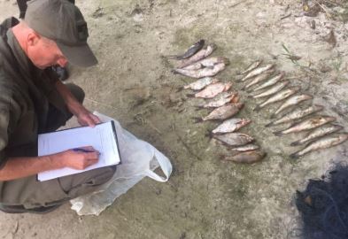 Суд приговорил браконьера к трем годам заключения за незаконный вылов 7 кг рыбы из Киевского водохранилища