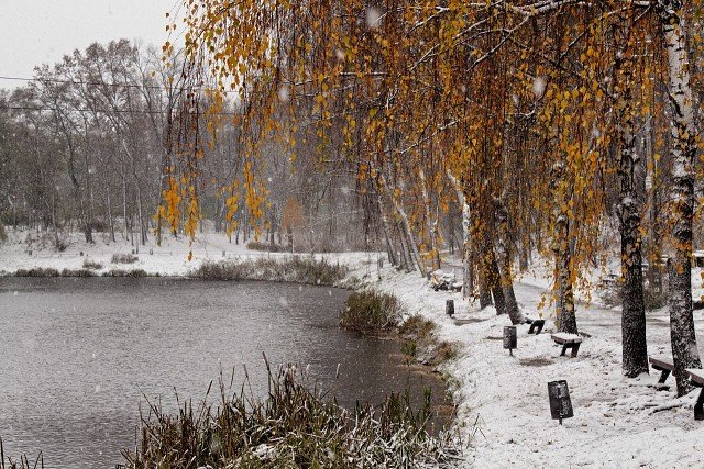 “Киевзеленстрой” заказал расчистку озер в парке “Нивки” у фирмы, с которой фигурирует в уголовном производстве
