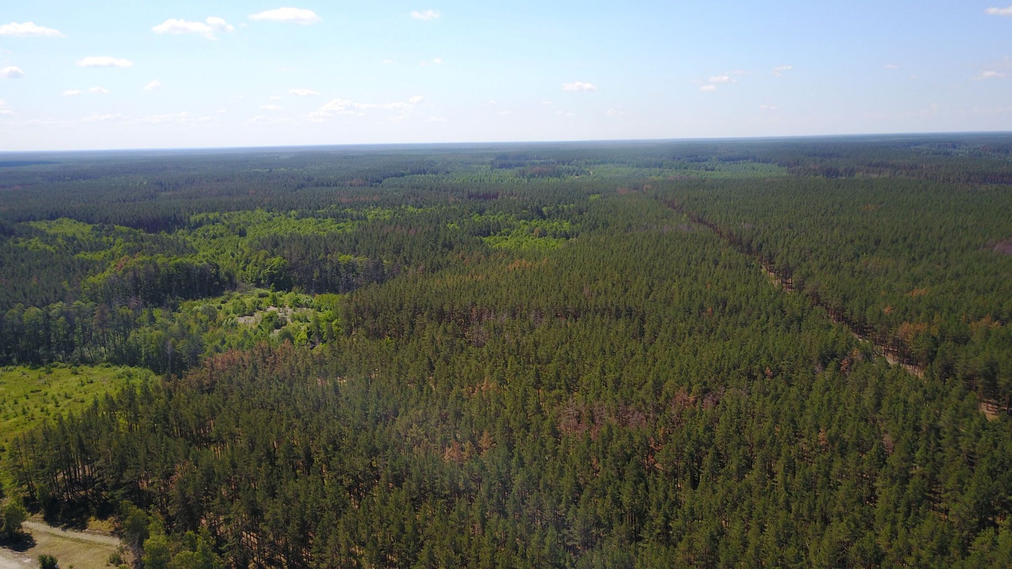 Отсутствие у Иванковского лесхоза документов на земельные участки привело к самозахвату более 200 га лесных земель, - Госаудитслужба