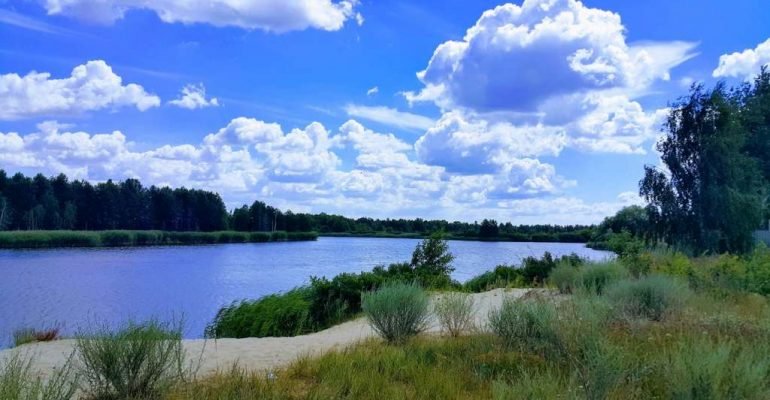 Прокуратура Киевщины пытается вернуть государству земли водного фонда на 100 млн гривен