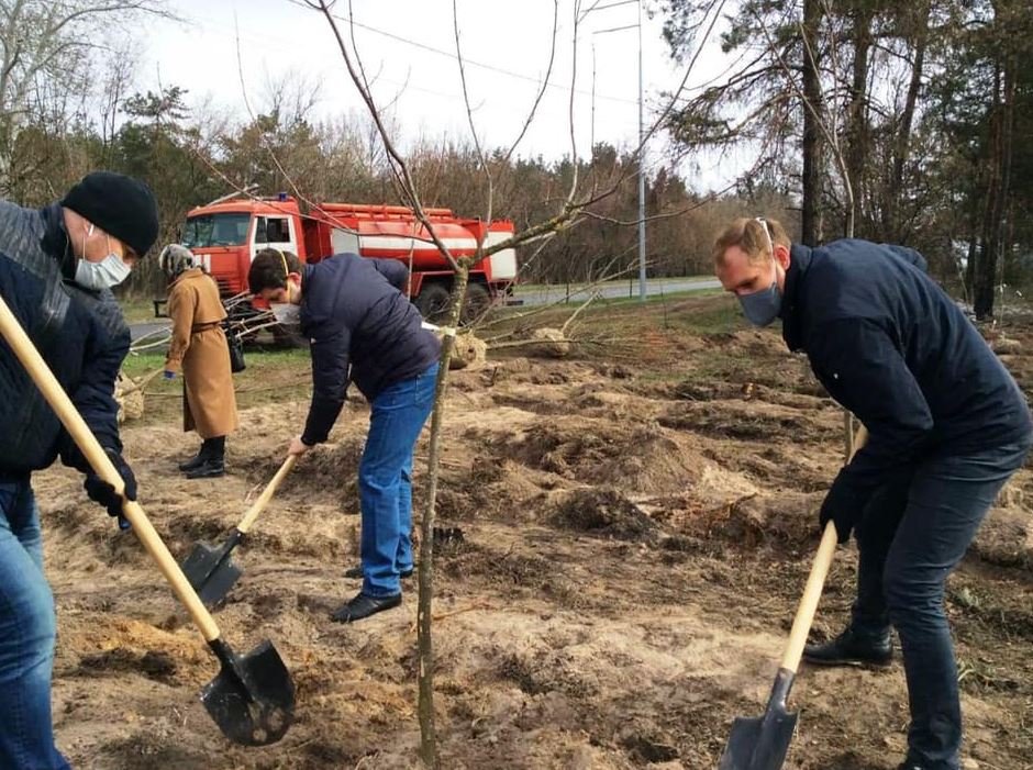 На месте уничтоженного участка леса возле метро “Лесная” высадили 38 крупномерных дерева (фото)