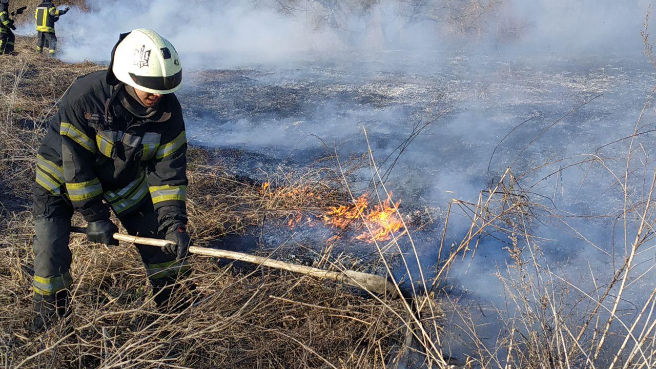 За прошедшие сутки столичные пожарные 11 раз ликвидировали пожары на открытой местности (фото)