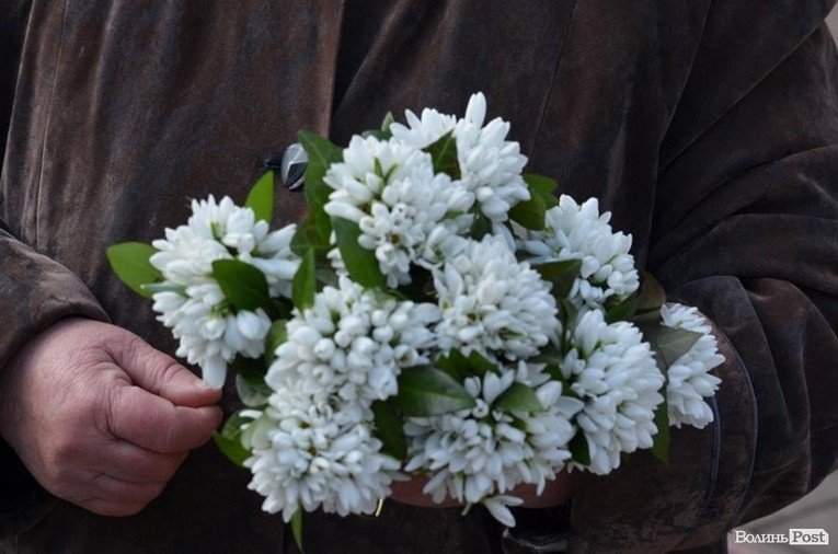 В Киеве экологическая инспекция за неделю изъяла у продавцов около 8 тысяч первоцветов