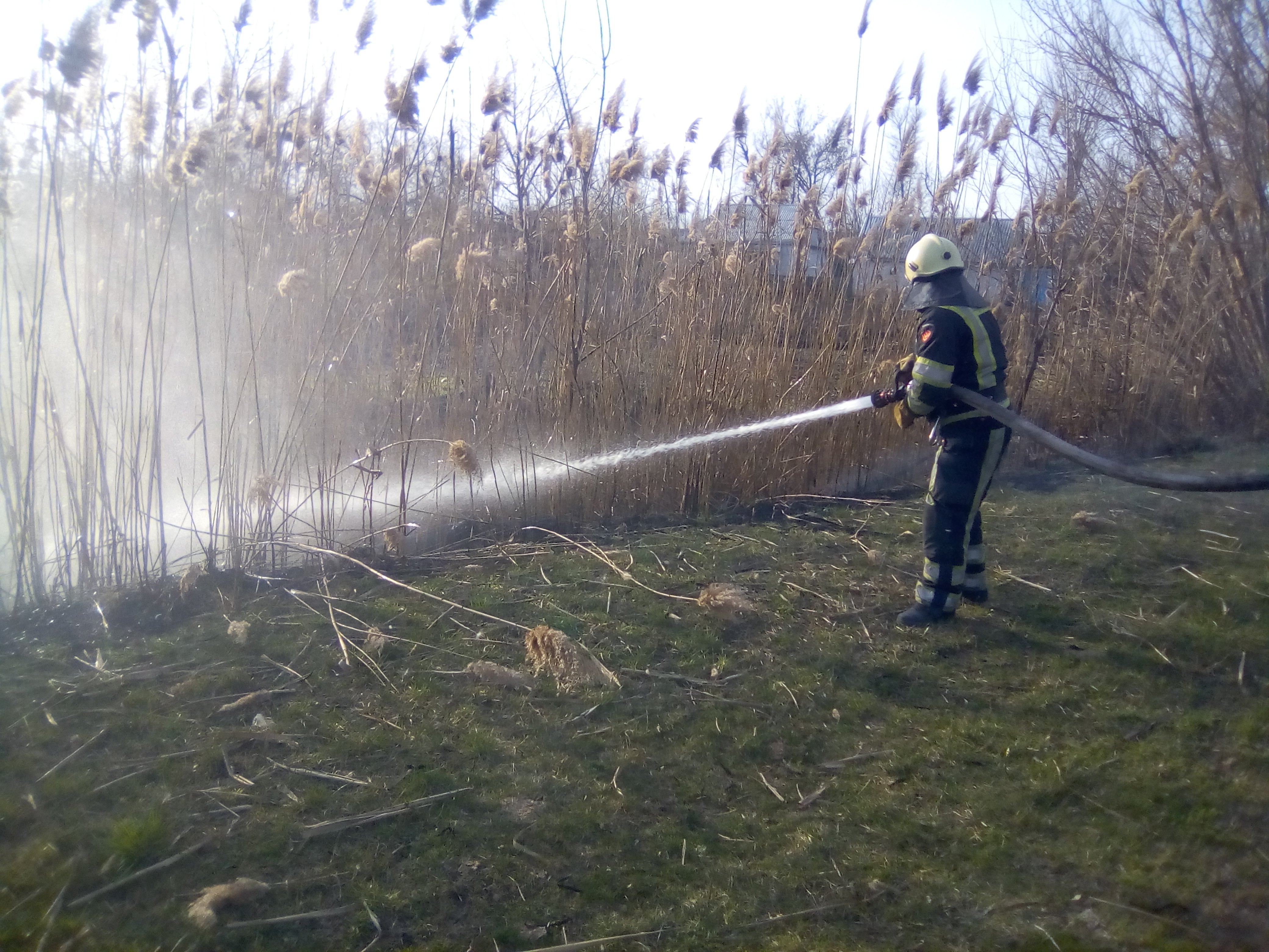 За последние сутки спасателям Киевщины пришлось 92 раза тушить горящую сухую растительность (фото, видео)