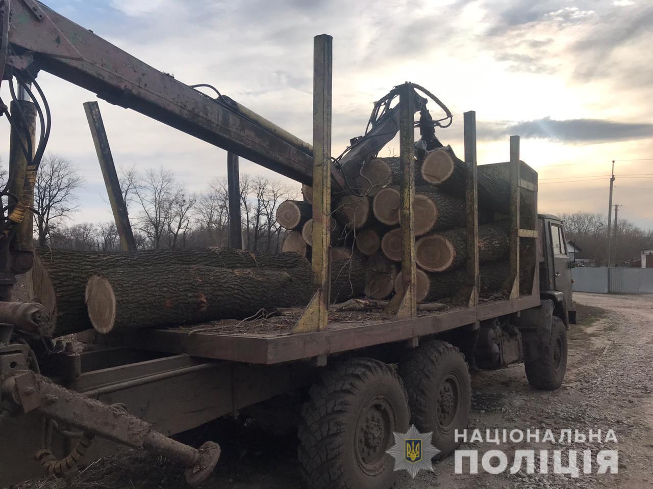 Полиция в Переяслав-Хмельницком районе задержали грузовик с незаконно спиленной древесиной (фото)