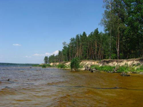 Прокуратура Киевщины вернула в госсобственность 5 га прибрежной полосы Каневского водохранилища
