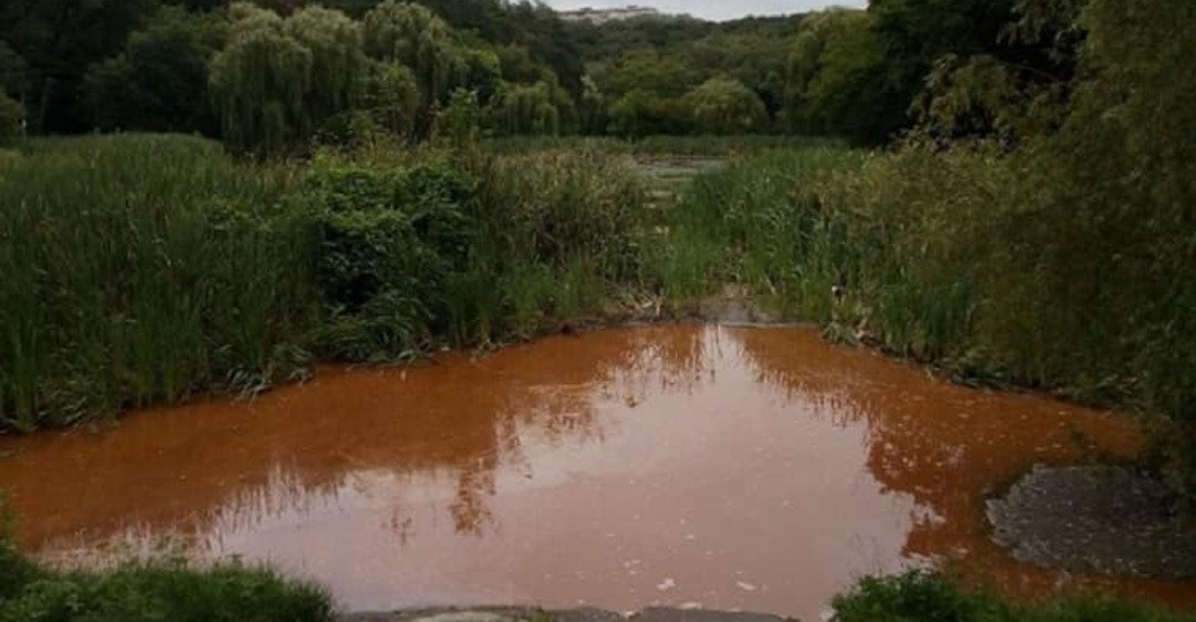 Жители Голосеевского района встревожены состоянием воды в столичных Ореховатских озерах