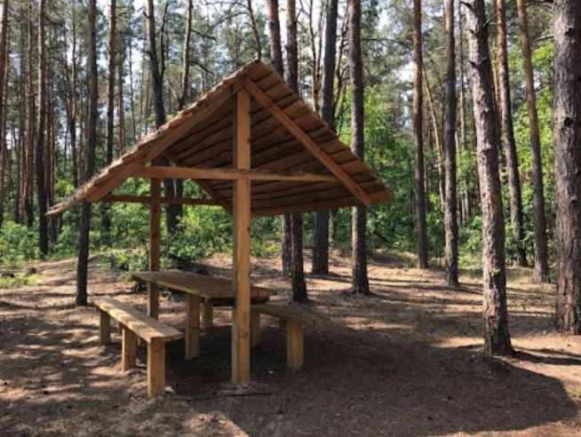 Для киевлян в лесопарках столицы обустроили 41 зону для отдыха
