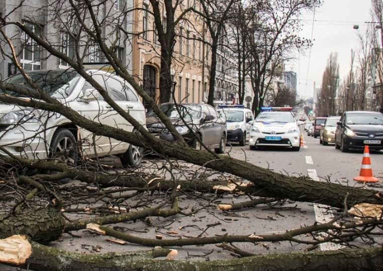 Сегодня в Киеве ожидаются сильные порывы ветра