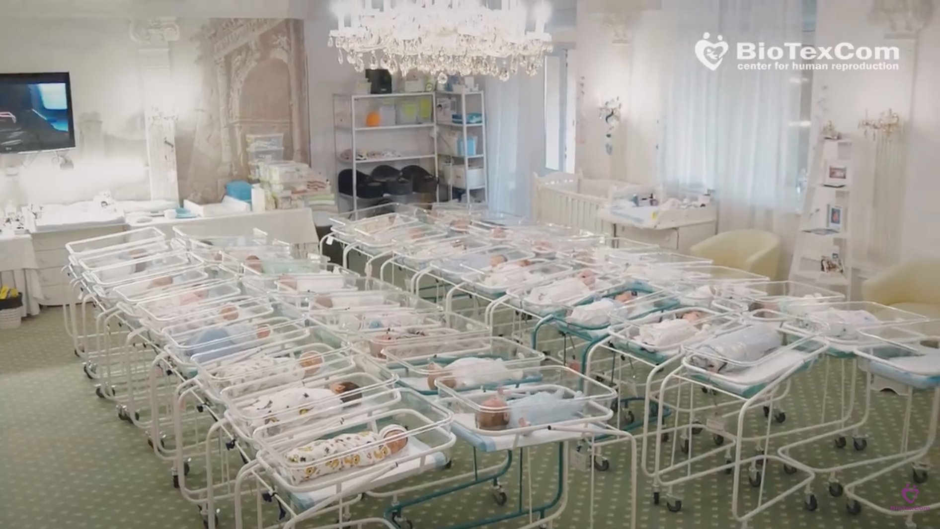 В Киевском отеле из-за карантина “застряли” 46 младенцев, рожденных от суррогатных матерей (видео)