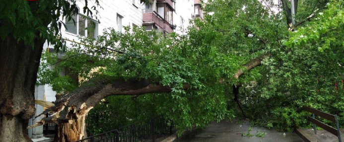 Сильный дождь привел к очередному потопу в Киеве