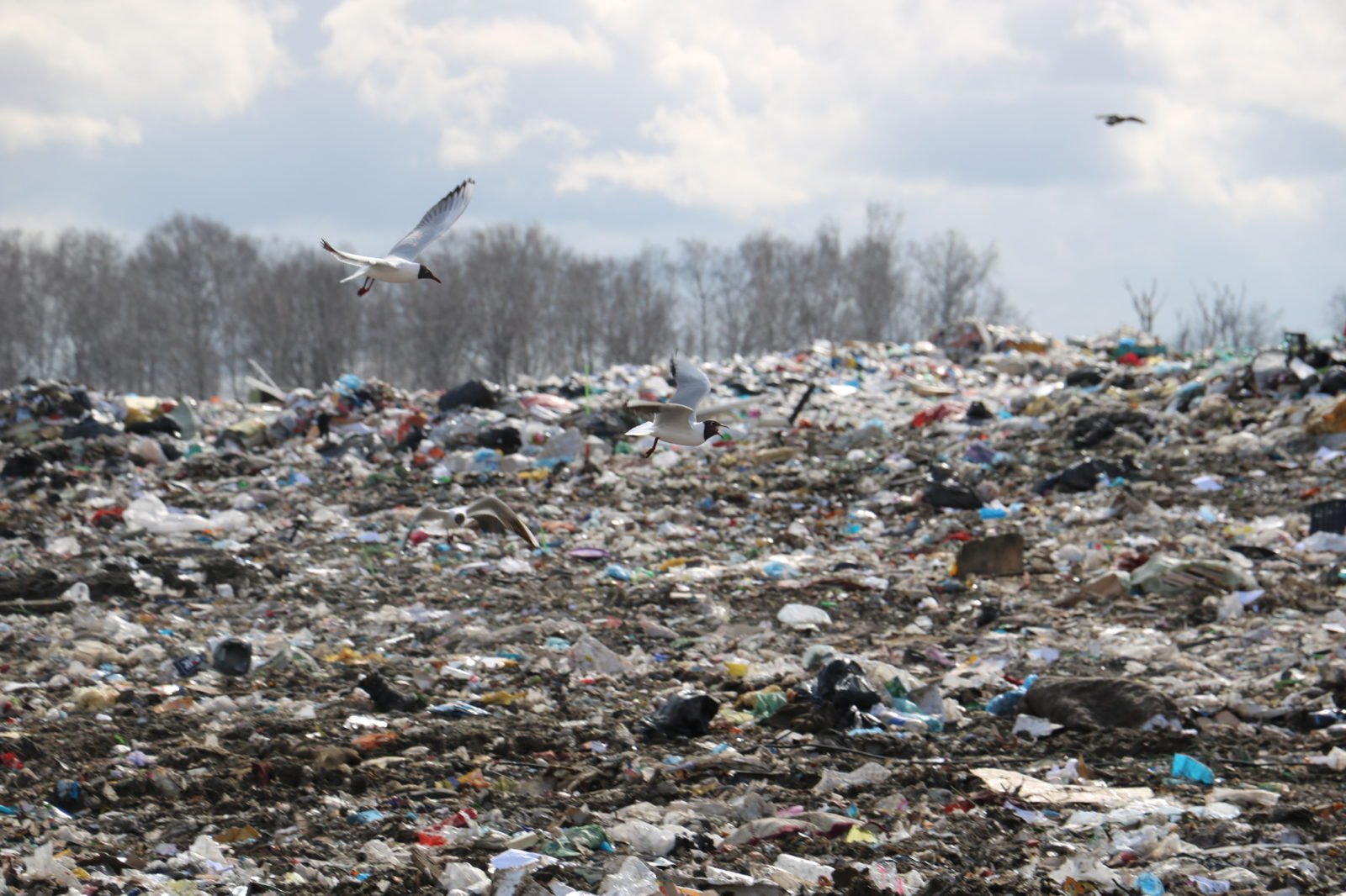 Киевоблсовет выделил более 26 млн гривен на ликвидацию мусорных свалок