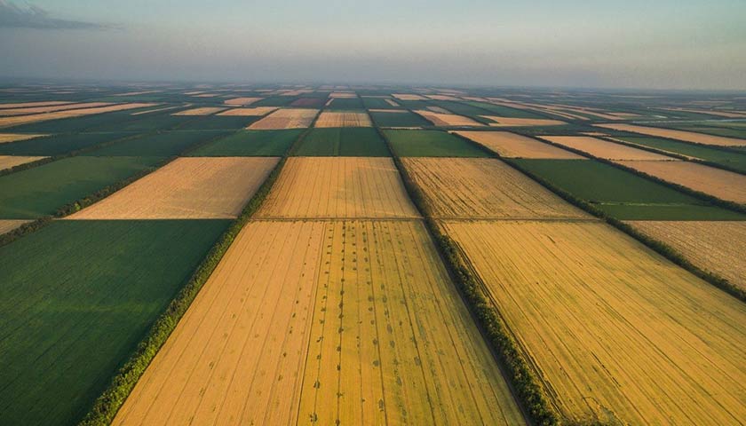 Рада утвердила многозначительные изменения в земельное законодательство