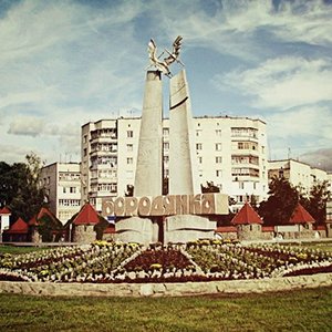 Депутаты Бородянской ОТО просят областные власти сделать Бородянку городом