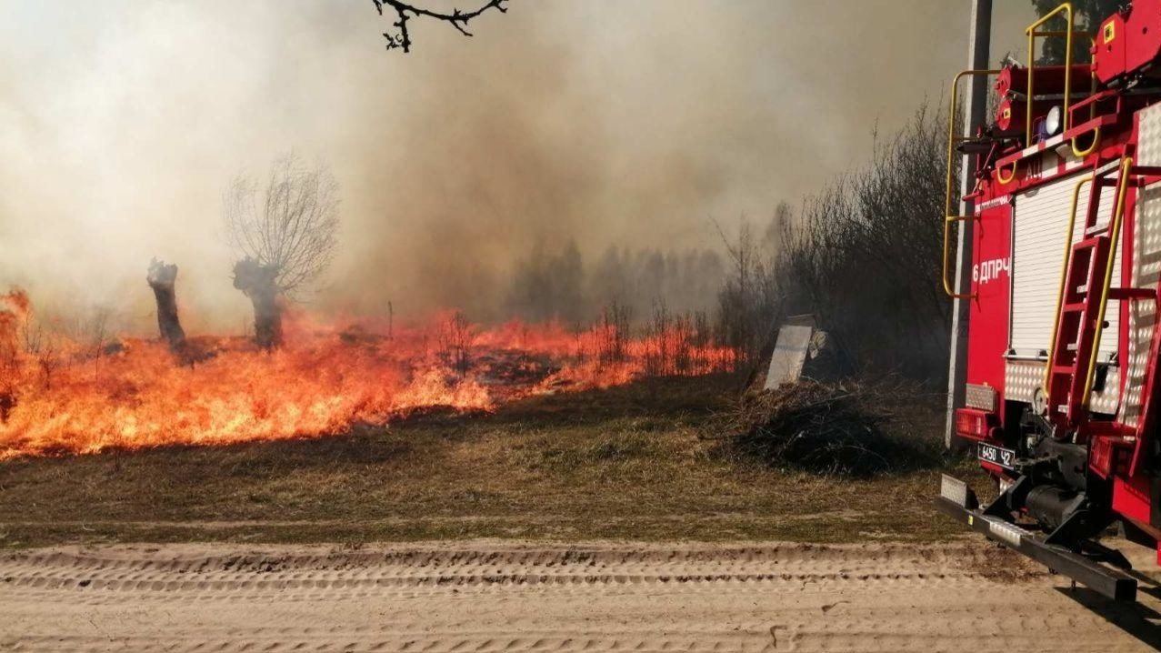 В Киеве и области участились пожары в экосистемах, наблюдается загрязнение атмосферы продуктами горения