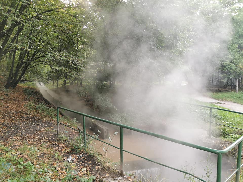 В Ореховатские пруды на столичном Голосеево вновь сбросили горячую воду с химикатами (фото, видео)
