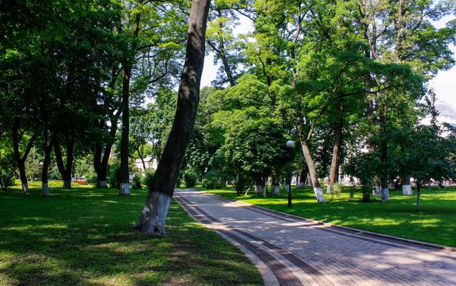 “Киевзеленстрой” почти за 25,5 млн гривен капитально отремонтирует 9 столичных скверов и парк (адреса)