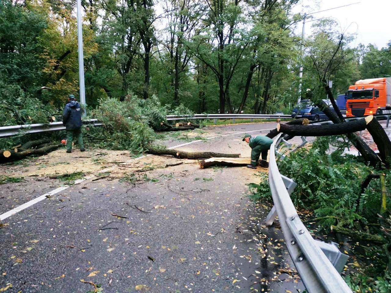 Сильный ветер в Киеве повалил деревья на провода и автомобили (фото)