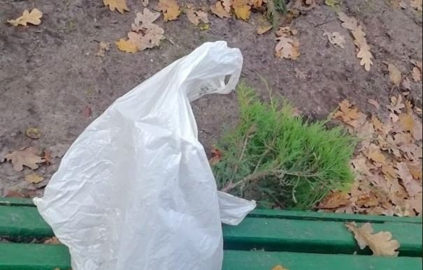 Киевскую пенсионерку задержали на краже деревьев в парке Рыльского