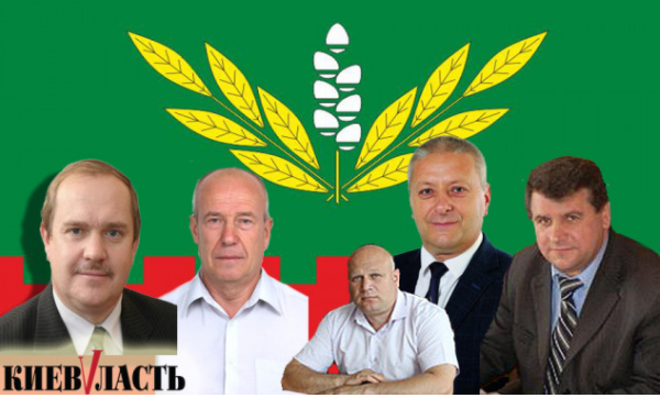 Вони пройшли: список депутатів Рокитнянської селищної ради на місцевих виборах 2020