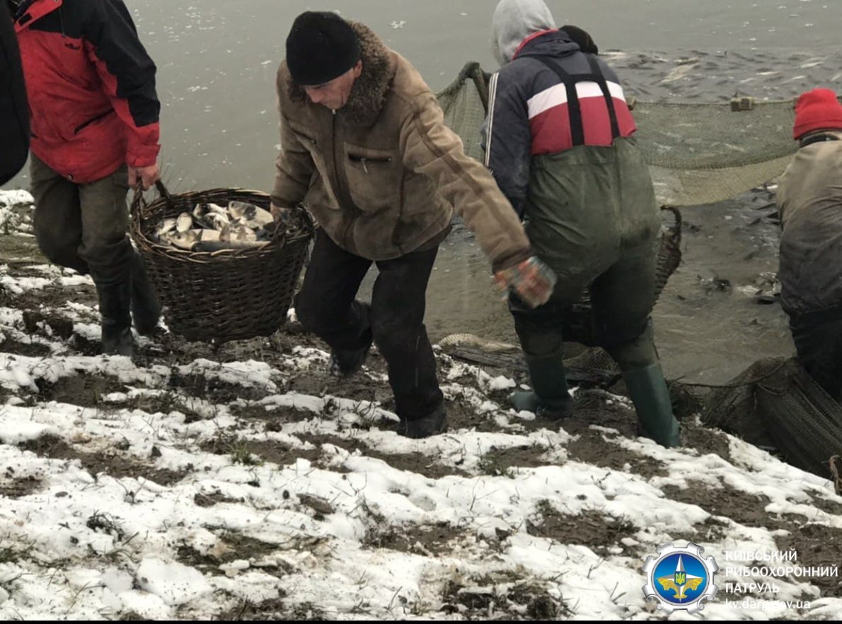 На Белоцерковщине в Киевской области в водохранилище выпустили более 9 тонн рыбы (фото, видео)