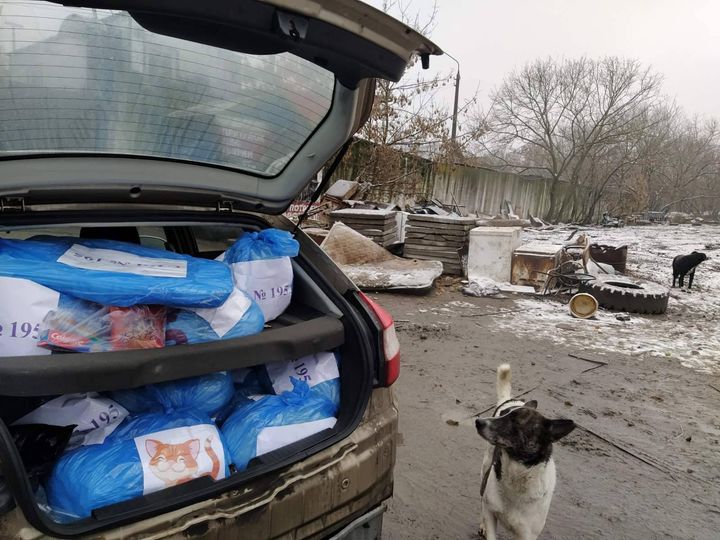 Киевская школа привезла продукты для животных в приюте в Пирогово