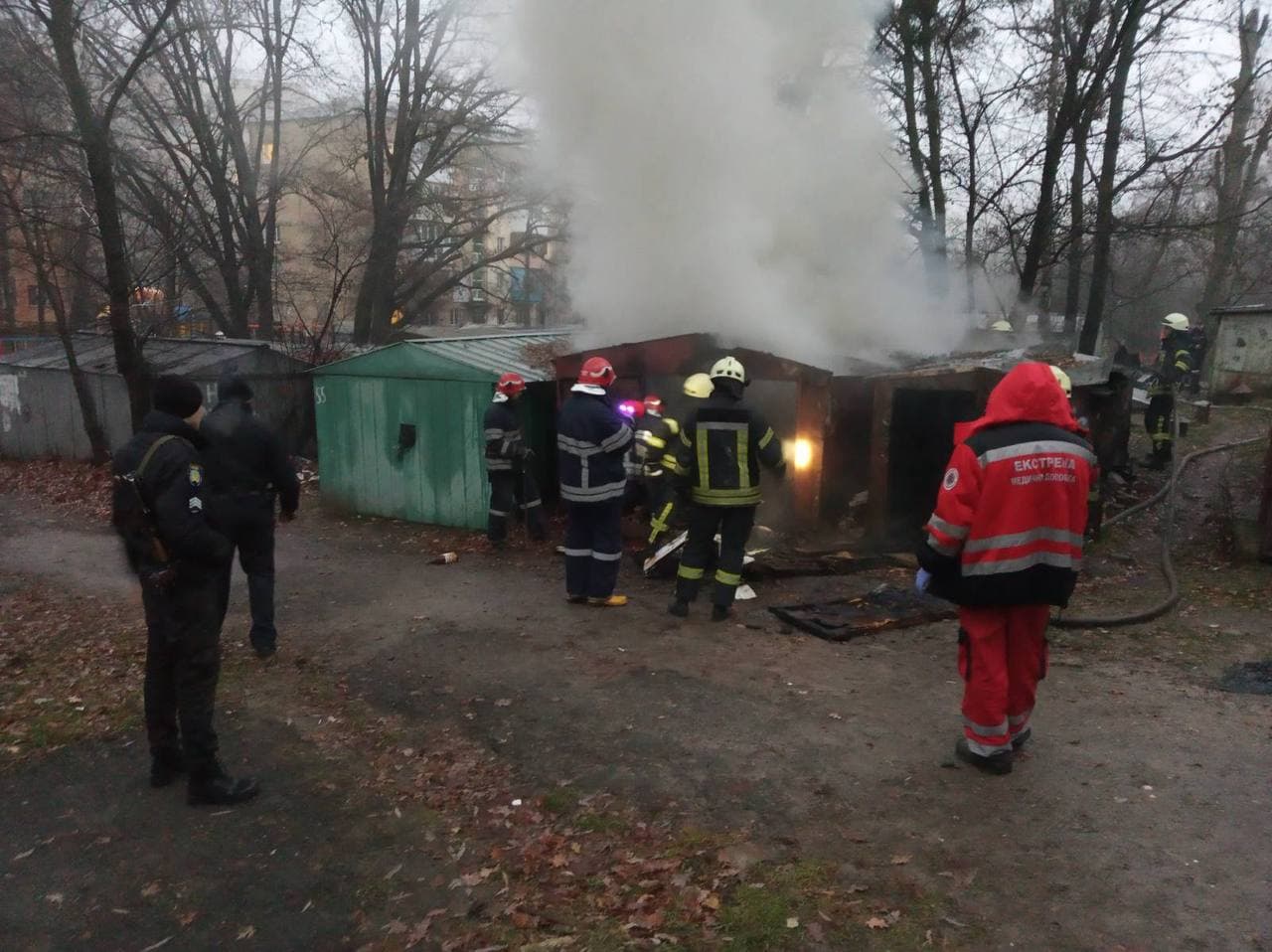 Столичные спасатели обнаружили два трупа во время тушения пожара в гаражах в Голосеевском районе (фото)