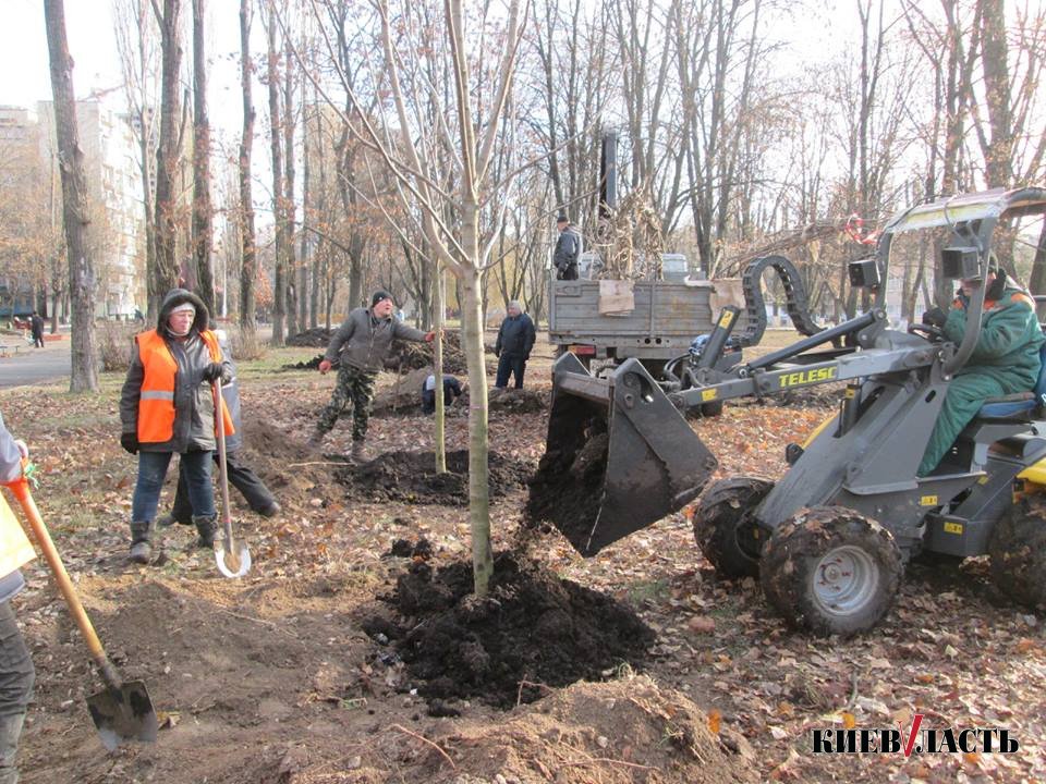 “Киевзеленстрой” за 41 млн гривен проведет ремонты в 5 скверах и 5 парках