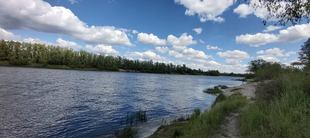 Прокуратура Киевщины вернула государству земельный участок водного фонда стоимостью 500 тысяч гривен в Броварском районе