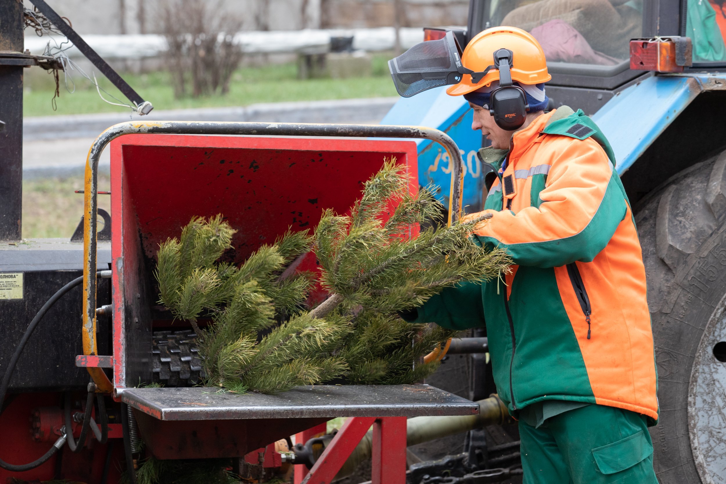В Киеве пункты приема новогодних елок на утилизацию проработают до конца недели (адреса)