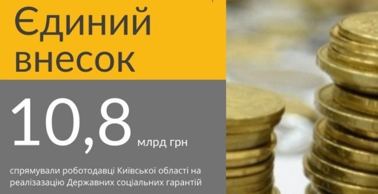 На социальное обеспечение плательщики Киевской области за год направили почти 11 млрд. гривен