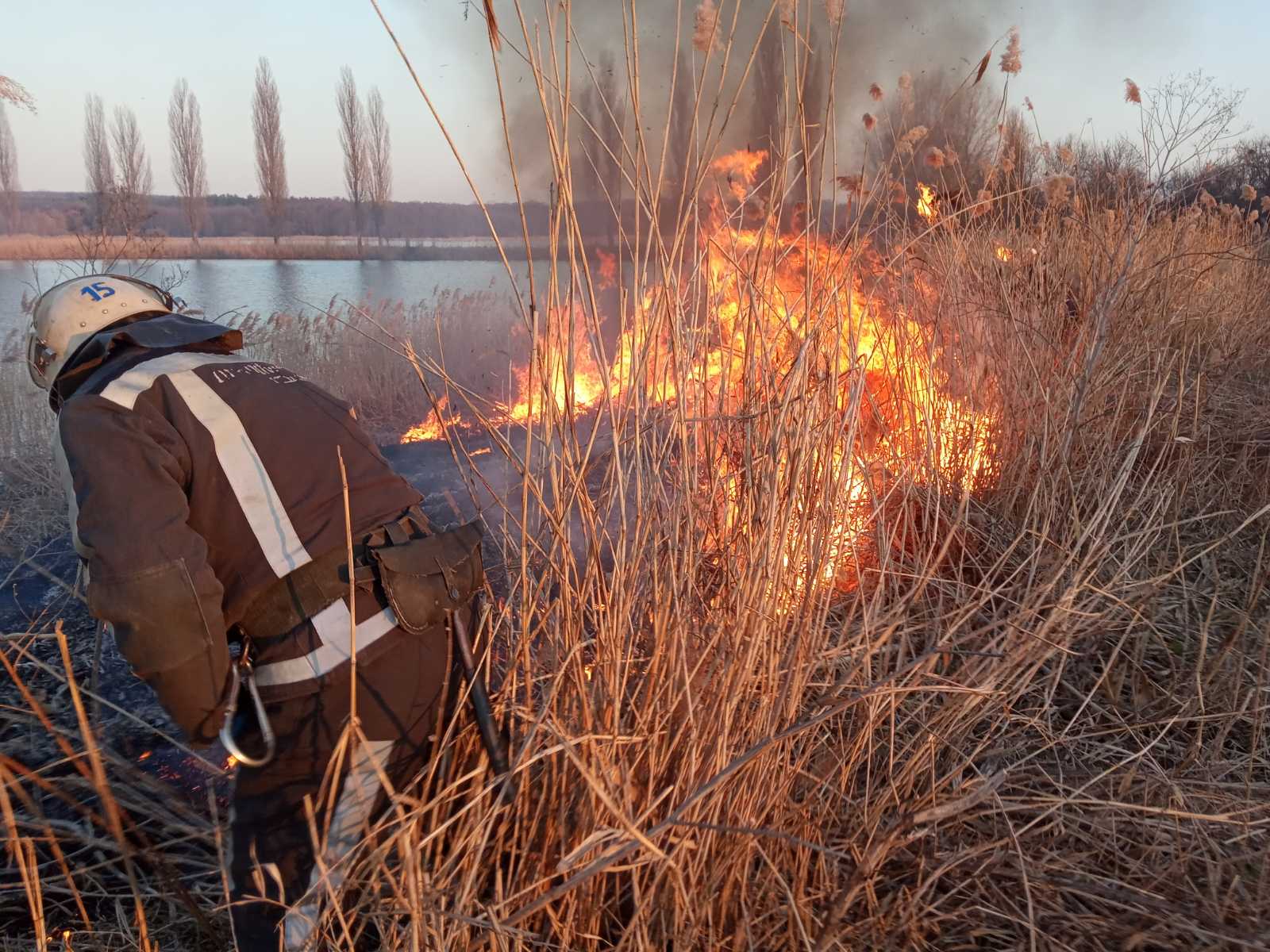 В Киевской области за сутки спасатели ликвидировали 88 пожаров сухостоя и мусора на площади более 80 га (фото)