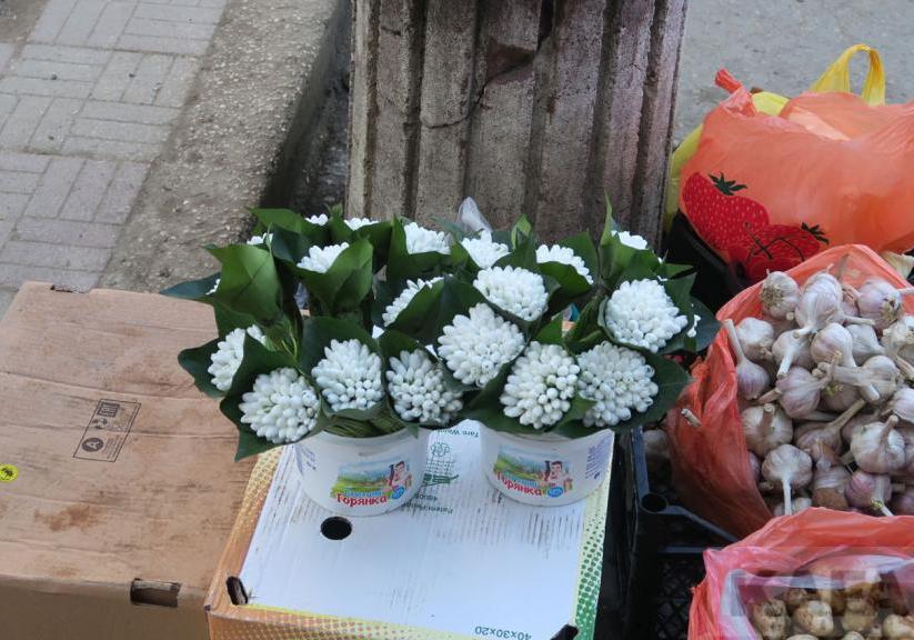 В Киеве хотят усилить борьбу с торговлей первоцветами