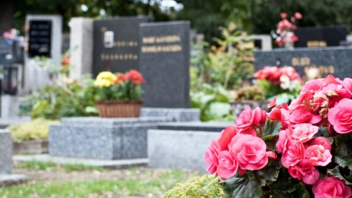 На киевских кладбищах начинается подготовка к проведению поминальных дней в 2021 году
