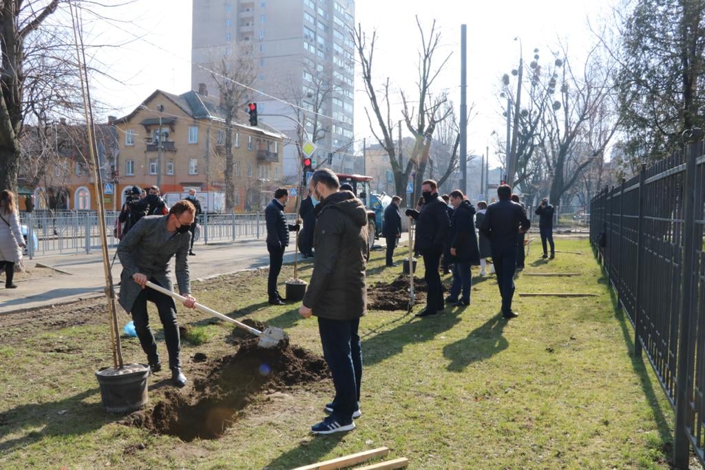В Соломенском районе Киева высадили “Аллею единства” (фото)