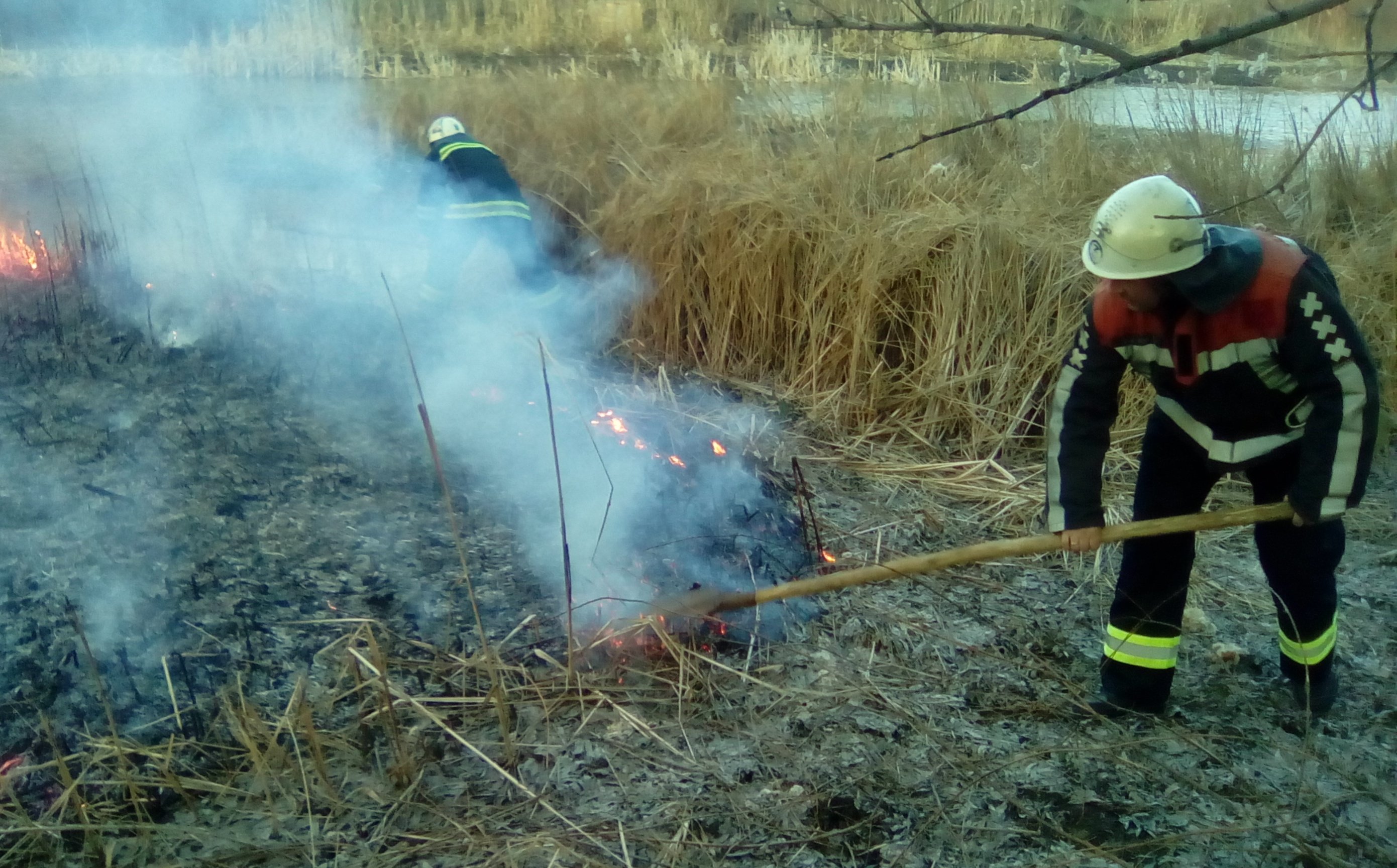 На минувшей неделе в Киеве возникло 53 пожара в экосистемах