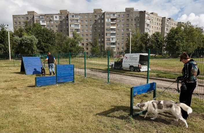 Жители Святошинского района Киева жалуются на нехватку площадок для собак