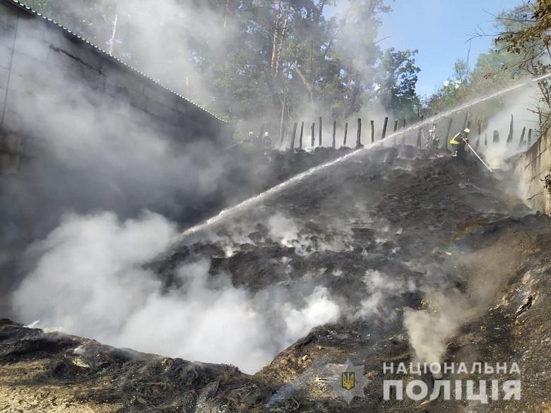 Во время учений на полигоне Нацполиции в Киеве возник пожар (видео)