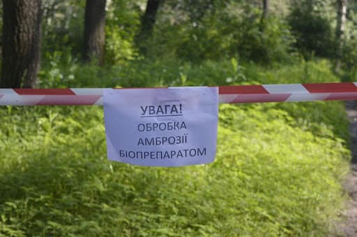 Жителей и гостей Бучи на Киевщине просят не гулять вокруг озера в городском парке
