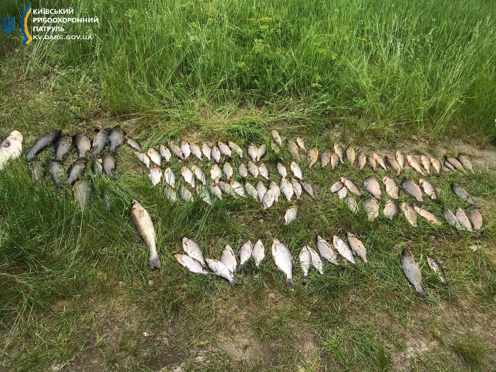 Киевский рыбоохранный патруль за полгода раскрыл почти полторы тысячи нарушений