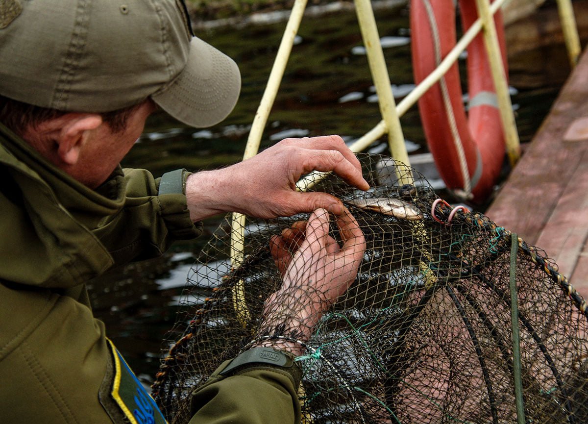 Киевский рыбоохранный патруль в июне изъял более 3 км сетей
