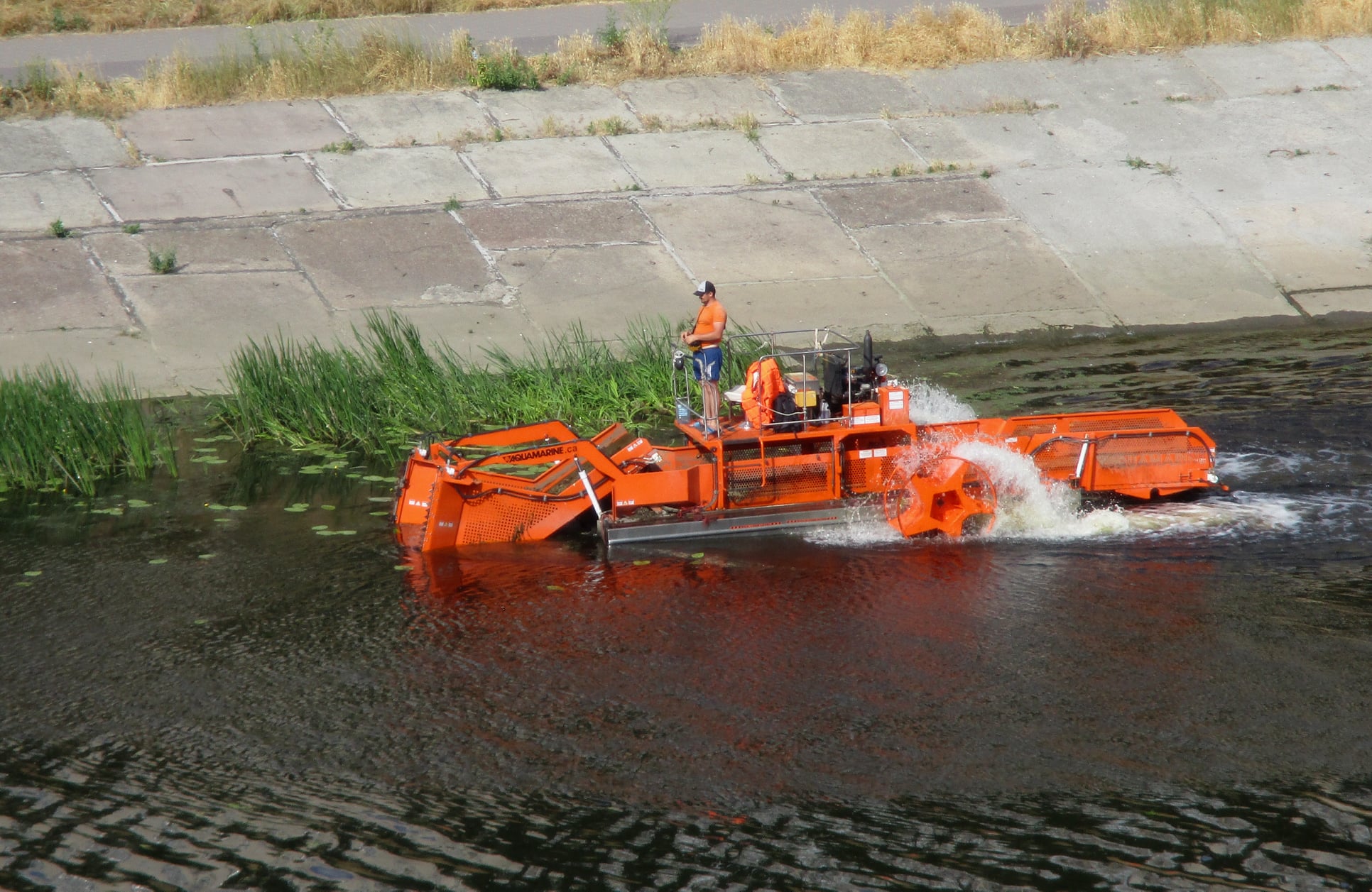 Столичные коммунальщики на плавучем комбайне очищают от мусора и водорослей Русановский канал (фото)
