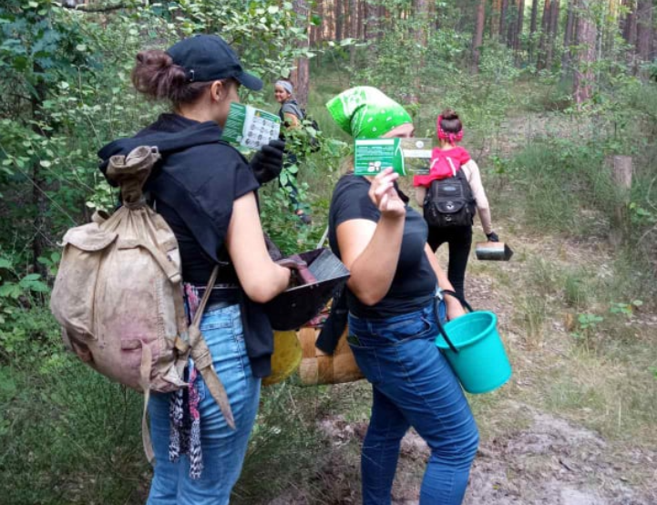 В Чернобыльском заповеднике бьют тревогу из-за массового сбора ягод на радиоактивно загрязненных территориях