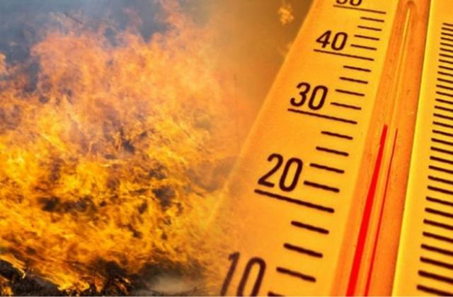Киевлян предупредили о высоком уровне пожарной опасности 16-18 июля