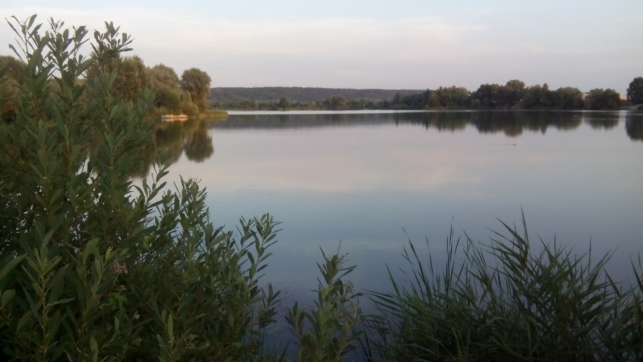 Экологи заявляют о варварском уничтожении озера Витовец в Бортничах (фото)