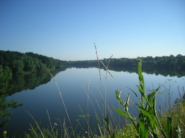 В реке Рось на Киевщине обнаружено значительное превышение содержания ртути