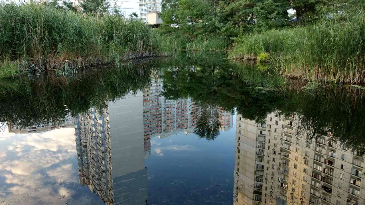 Кличко попросили очистить озеро Вулык в Дарницком районе Киева